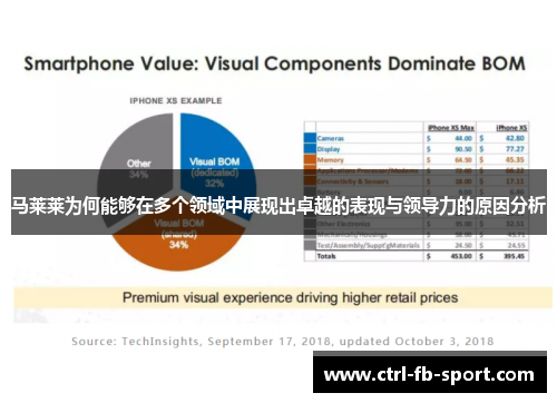 马莱莱为何能够在多个领域中展现出卓越的表现与领导力的原因分析