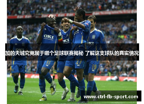加的夫城究竟属于哪个足球联赛揭秘 了解这支球队的真实情况