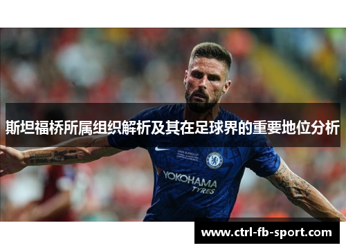 斯坦福桥所属组织解析及其在足球界的重要地位分析