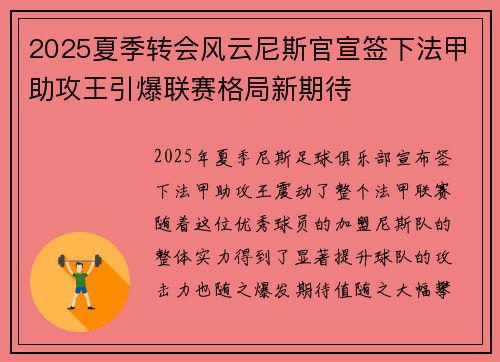 2025夏季转会风云尼斯官宣签下法甲助攻王引爆联赛格局新期待