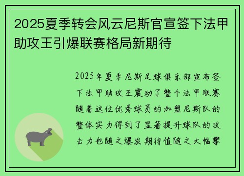 2025夏季转会风云尼斯官宣签下法甲助攻王引爆联赛格局新期待